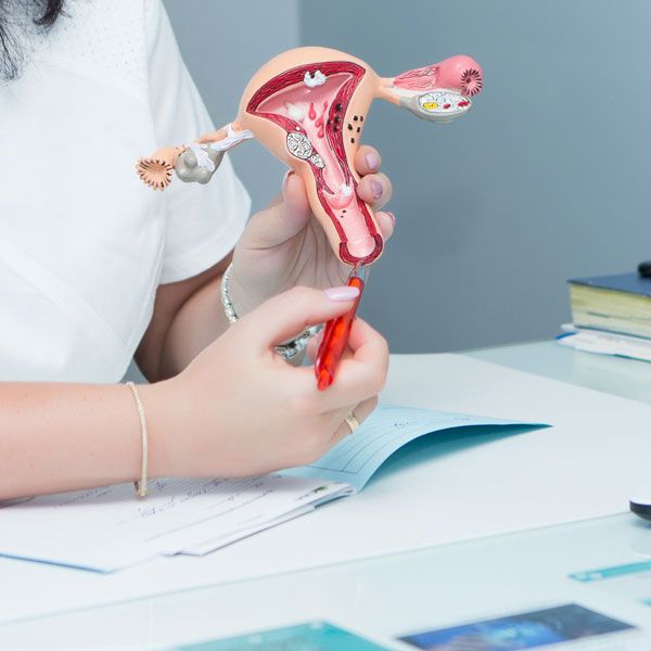Woman pointing to model of uterus