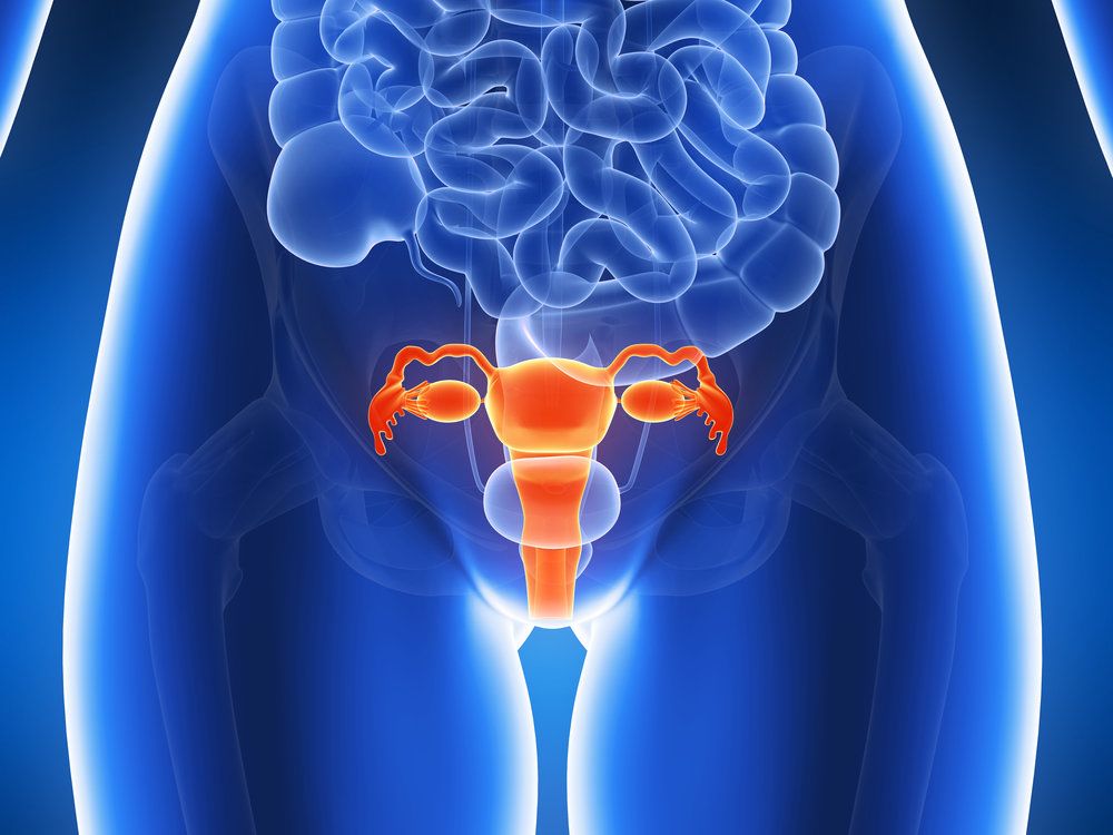 An illustration of the female reproductive tract