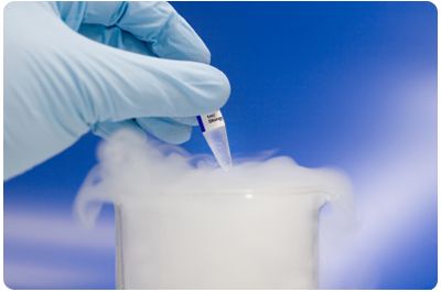 Infertility Clinic Los Angeles